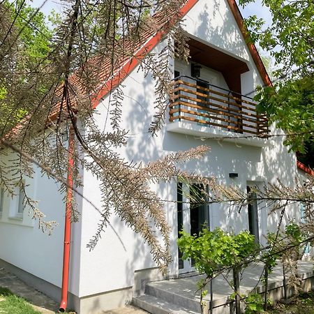 Quiet, Green, Relaxing Place - 2 Bedroom Apartment Balatonfured Bagian luar foto
